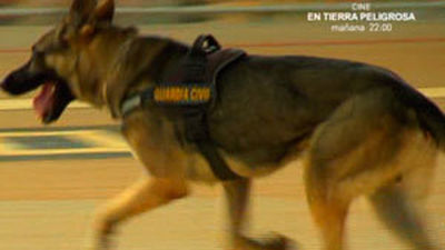 Agente Especial: capítulo 5