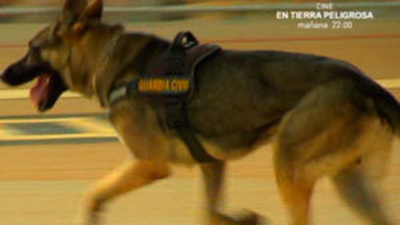 Agente Especial: capítulo 5