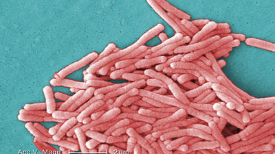 La Comunidad confirma tres casos más de  legionella y ya son 52 los posibles afectados