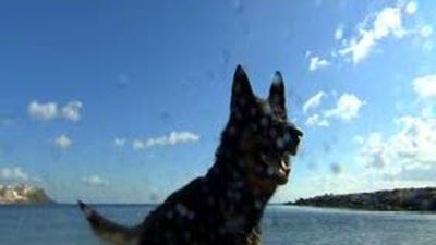 Agente especial: capítulo 4