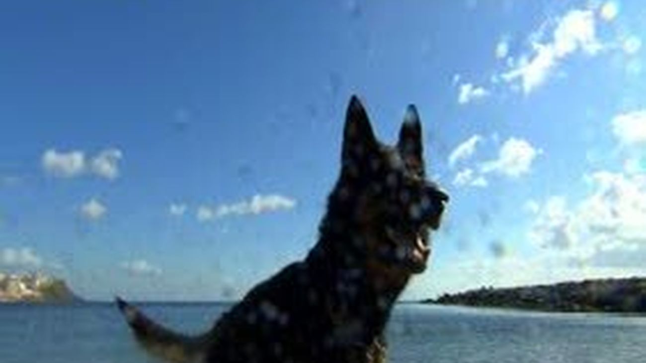 Agente especial: capítulo 4