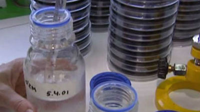 Estabilidad en los casos de legionella, con uno grave,  mientras aumentan las inspecciones