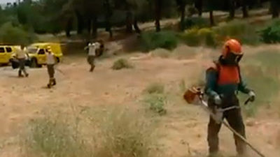 Las brigadas forestales