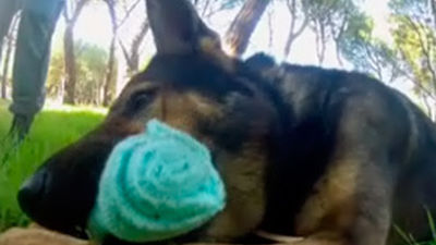 Agente Especial: capítulo 6