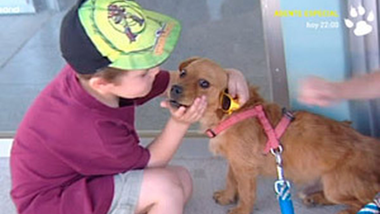 Niños que dan ejemplo de amor a los animales