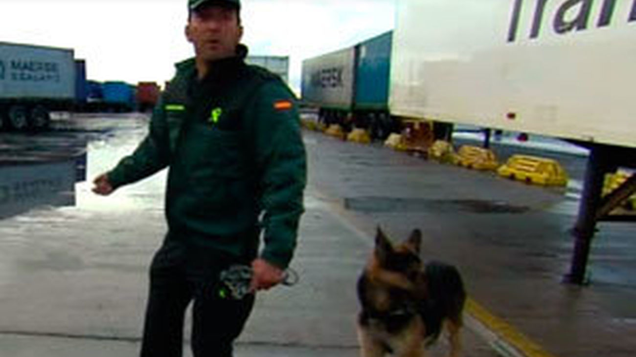 Agente especial: capítulo 8