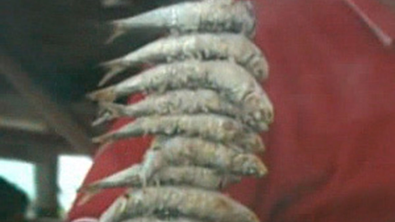 Espetos de sardinas...en Madrid