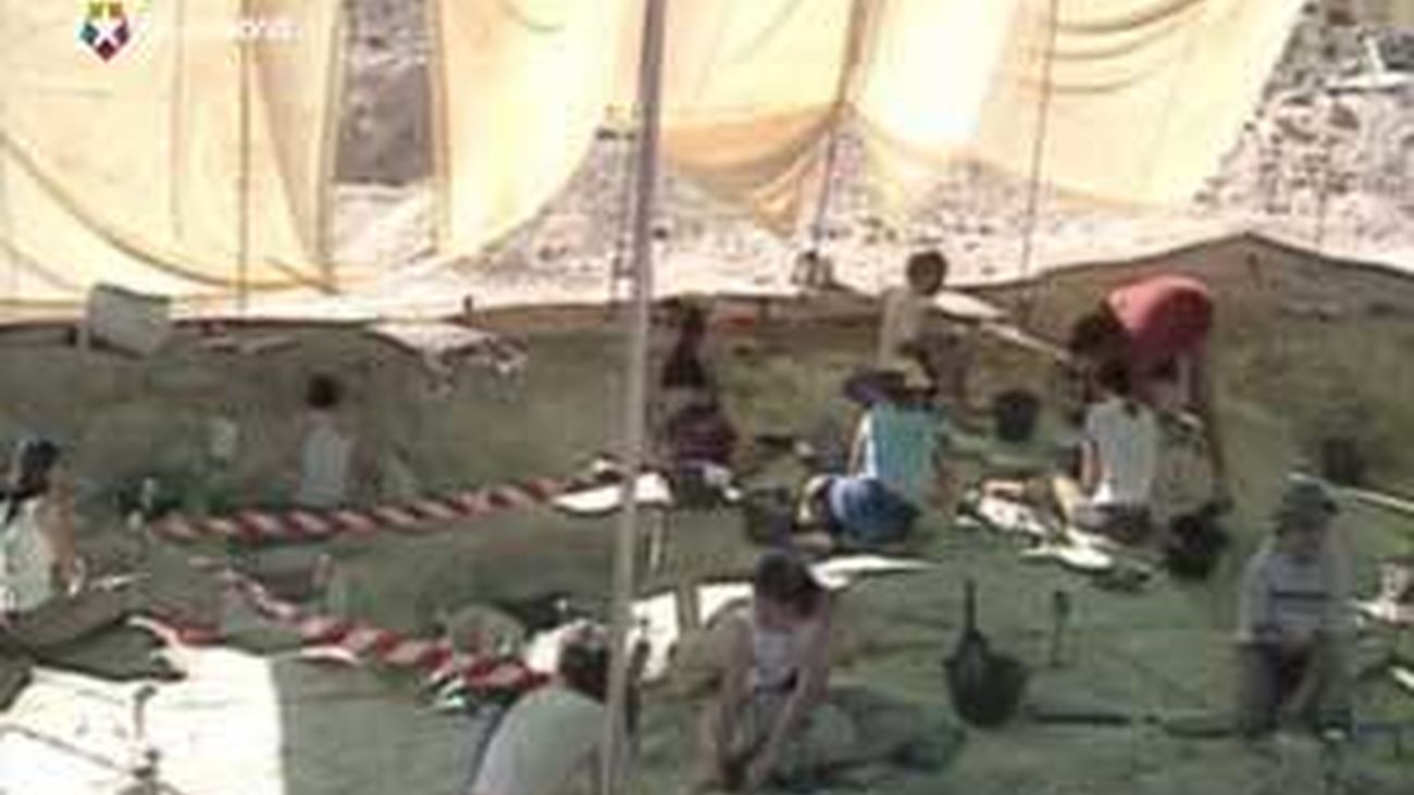 Recuperan más de 10.000 restos de animales que  vivieron en la región madrileña en la Era Terciaria