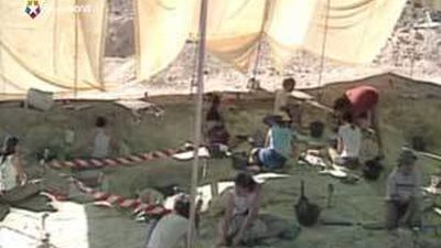 Recuperan más de 10.000 restos de animales que  vivieron en la región madrileña en la Era Terciaria