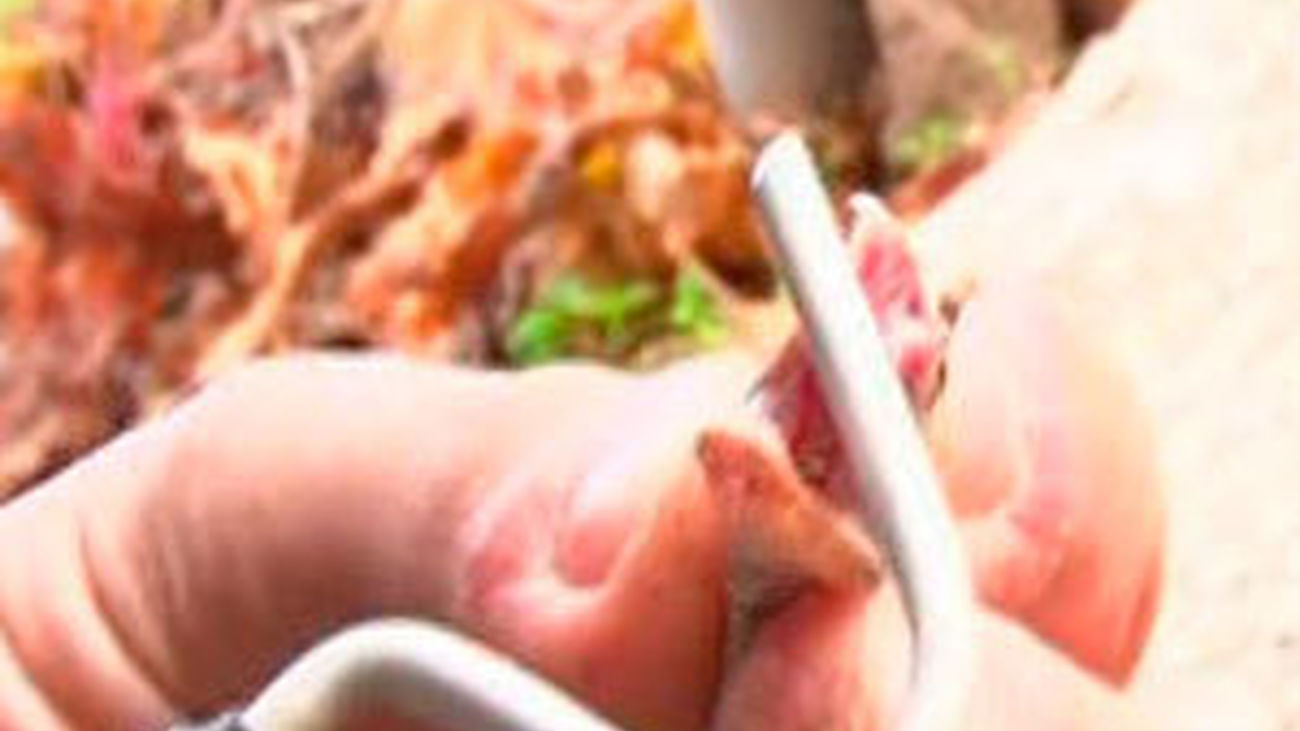 ¿Hay viboras en Madrid?