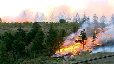 El fuego retrocede en La Gomera con la ayuda la meteorología