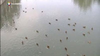 Bajan las temperaturas pero Madrid sigue  en alerta naranja por calor