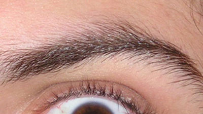 "Violencia" y "virulencia" no son sinónimos