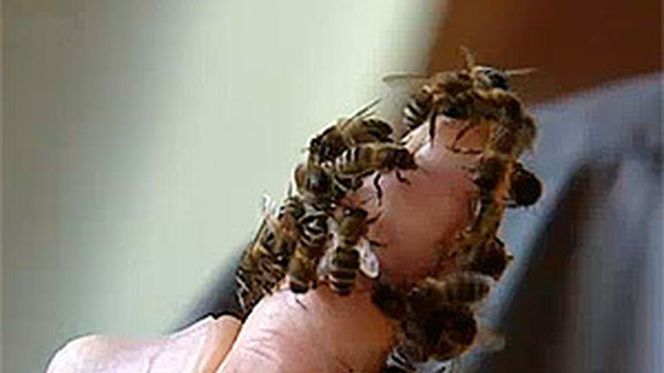 El increíble mundo de las abejas