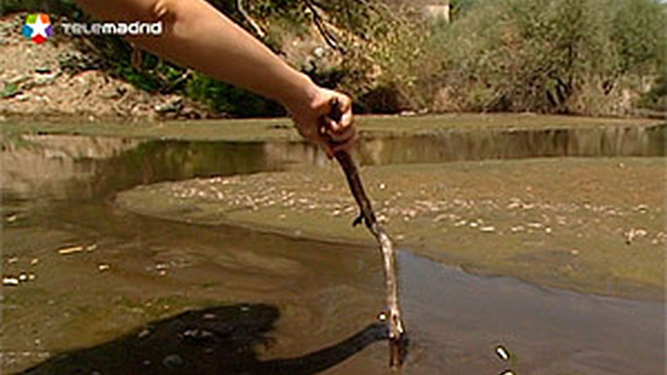 El río Cofio lleva meses llena de lodo y suciedad