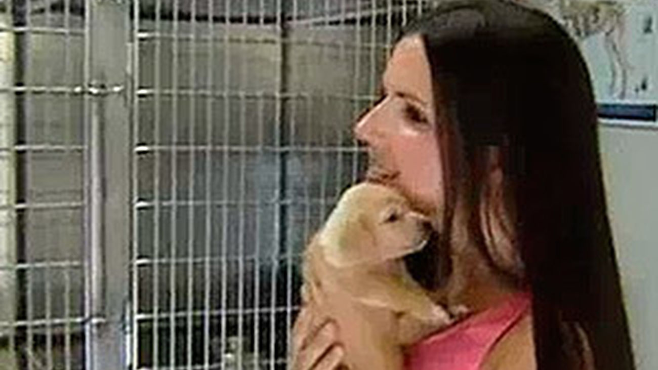 Estos pequeños buscan un hogar