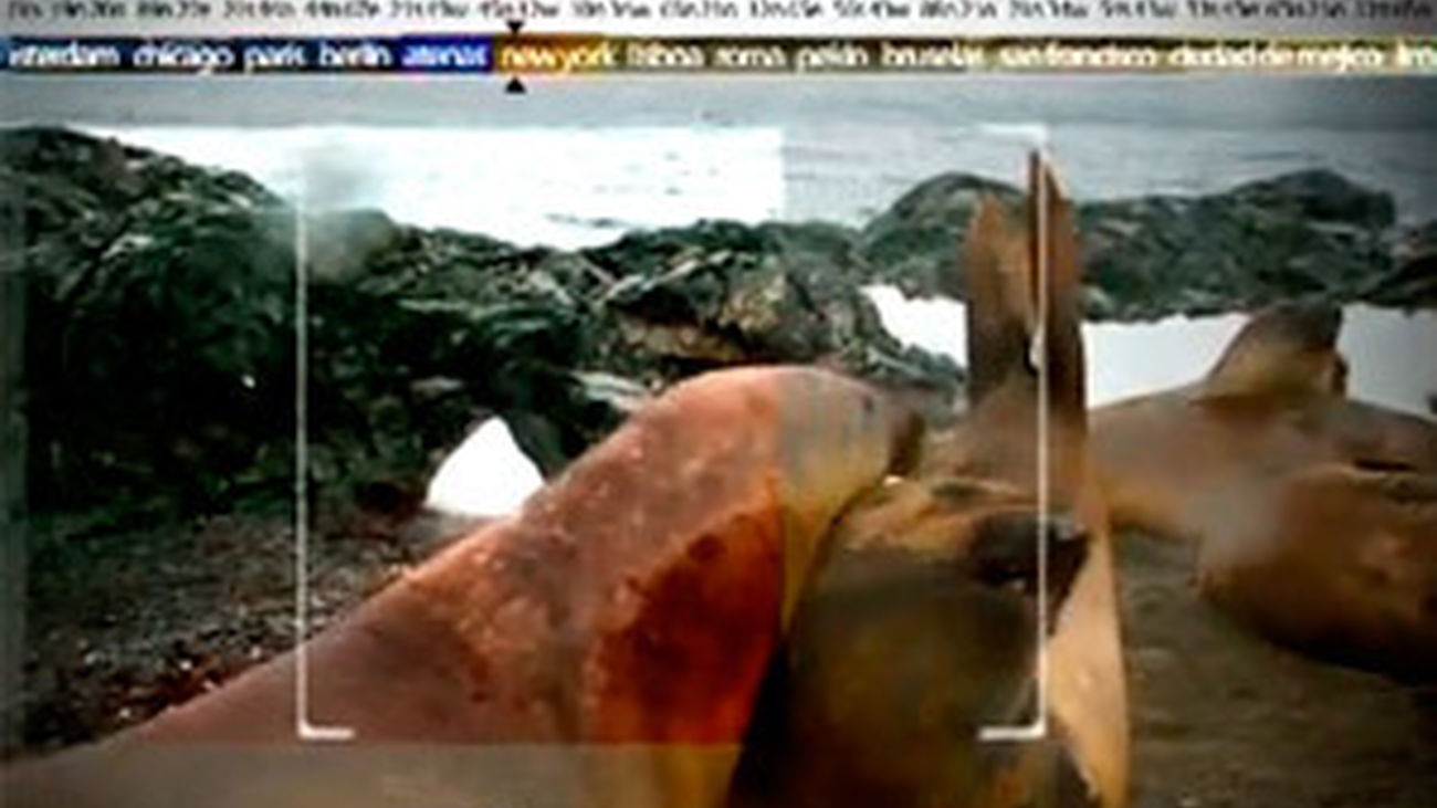 Madrileños por el Mundo: La Antártida