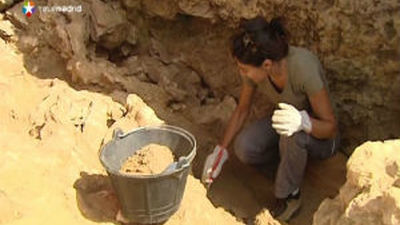 Cómo era la vida hace 100.000 años en Madrid