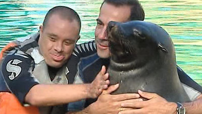 Las personas discapacitadas mejoran su integración bañándose con leones marinos
