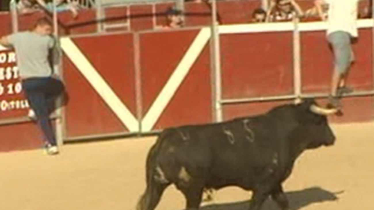 Las fiestas de Pozuelo