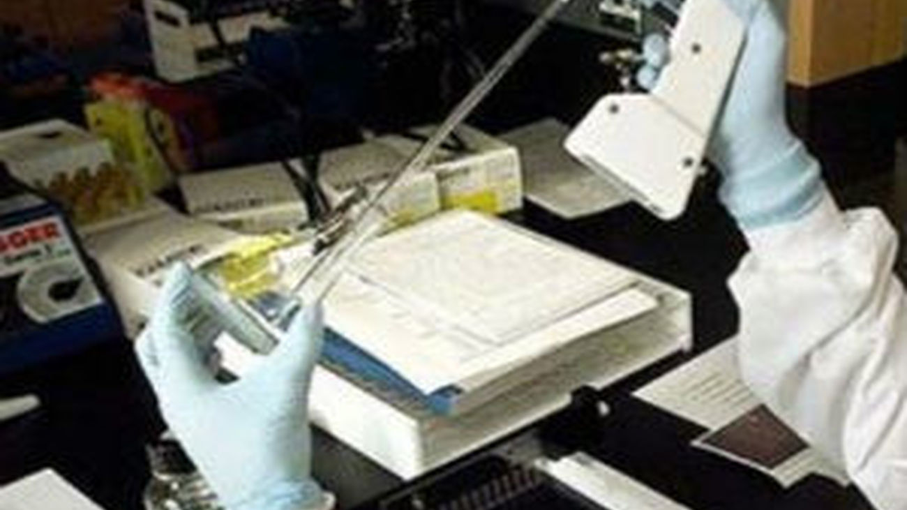 Becas de investigación para estudiantes universitarios en el CSIC