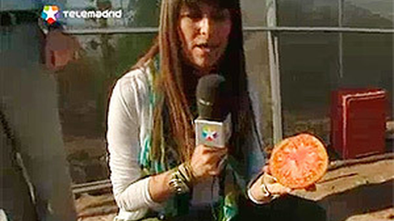 Los tomates madrileños, en su punto perfecto