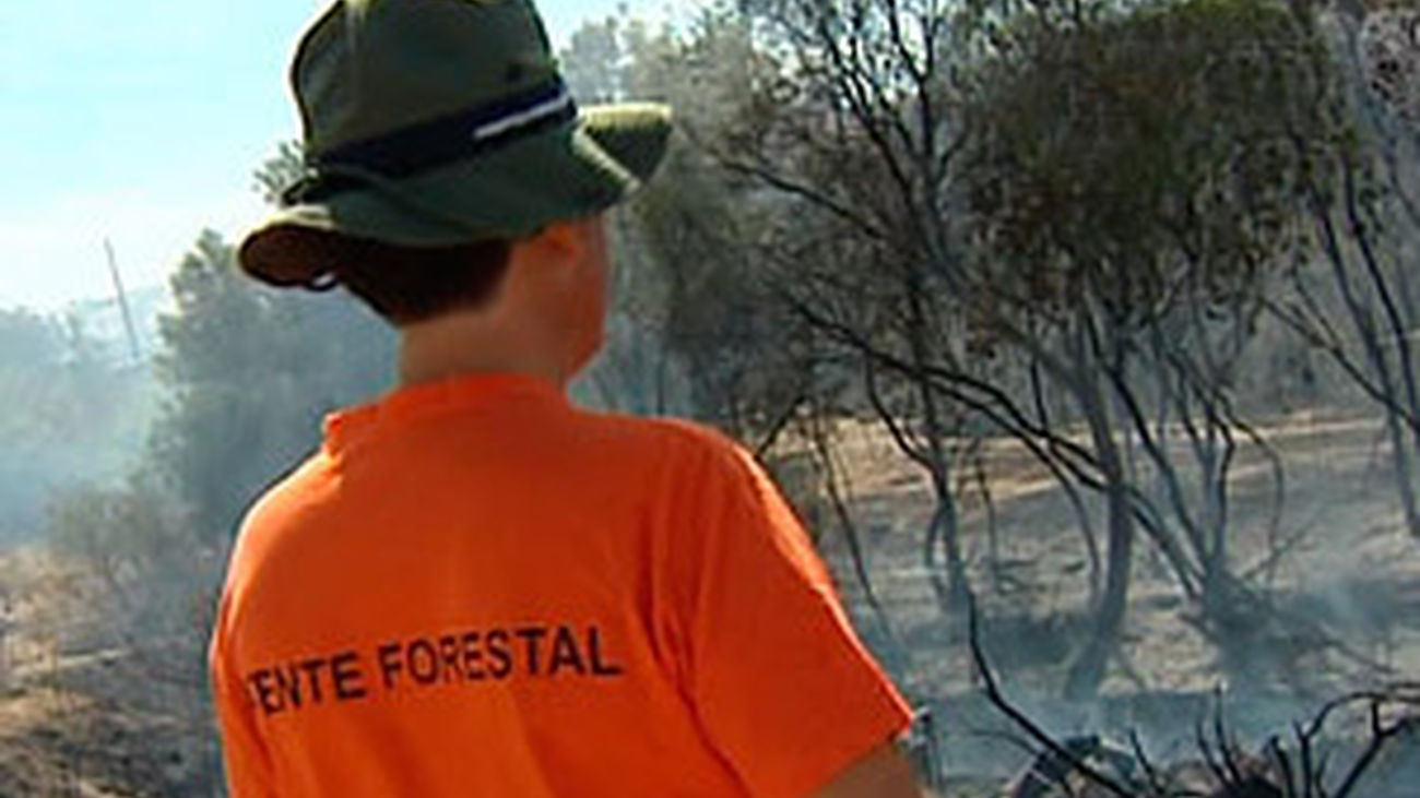 Se busca pirómano en Villanueva del Pardillo