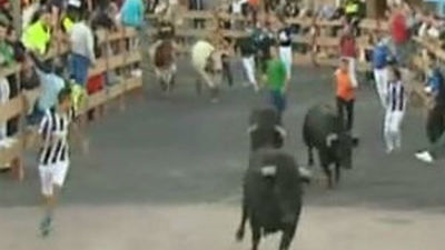 El segundo encierro de Móstoles ha sido limpio y termina sin heridos