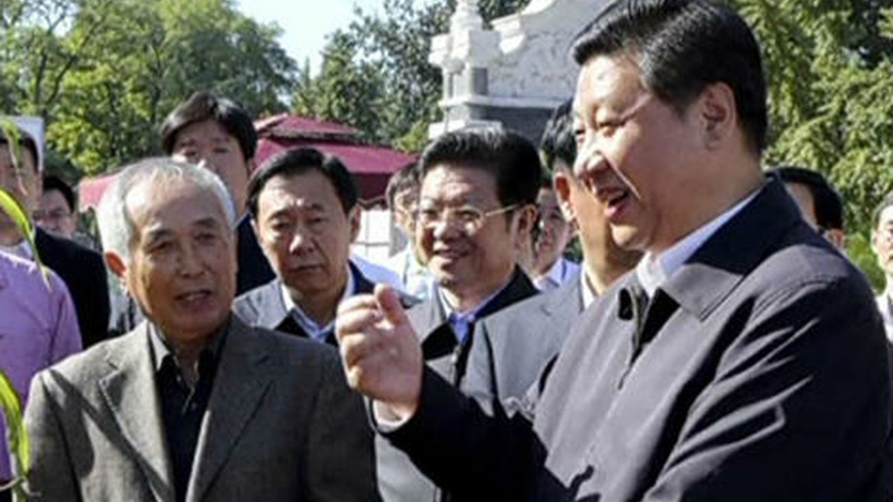 Vicepresidente chino