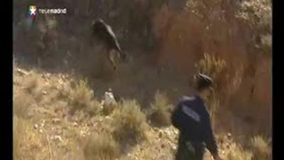 Encuentran el cadáver de una joven desaparecida en Zaragoza