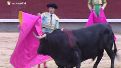 El PP pide en solitario que la tauromaquia sea patrimonio cultural en Madrid