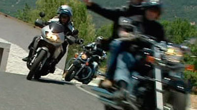 Una pasión les une...