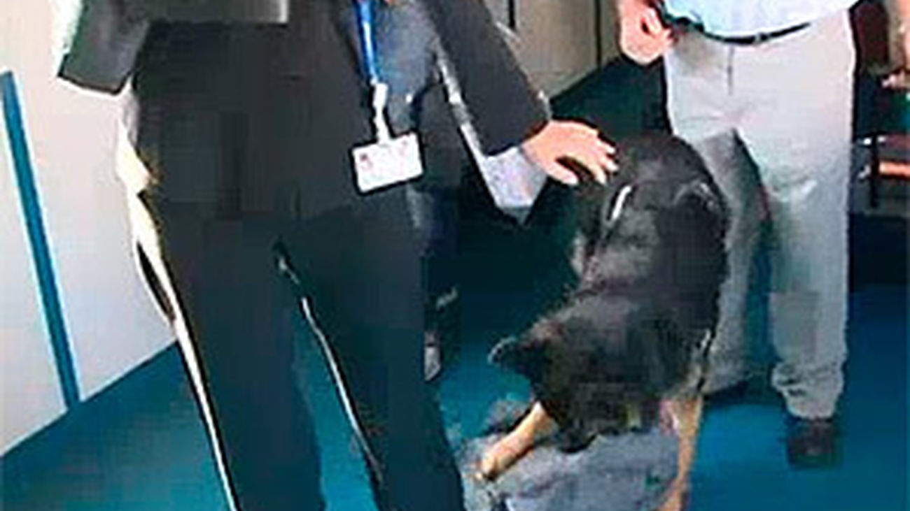 Así son los 'vuelos calientes'