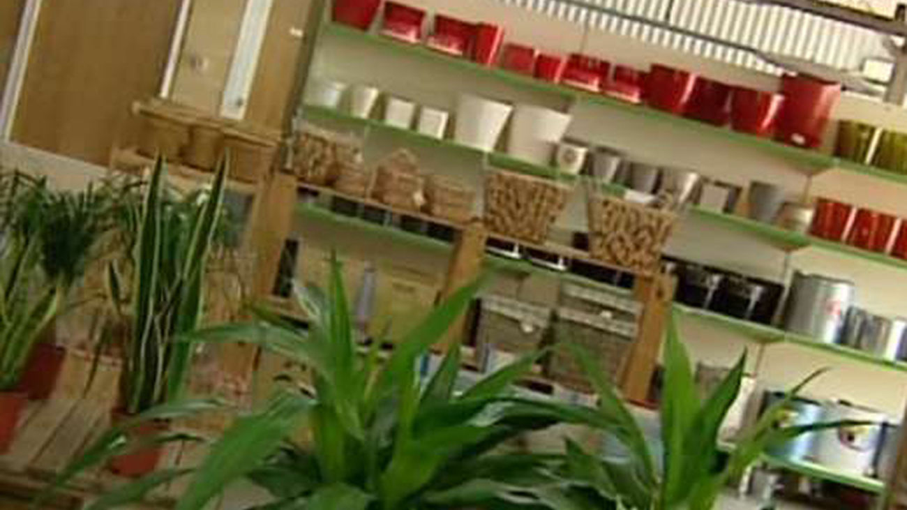 Mercadillo en un vivero