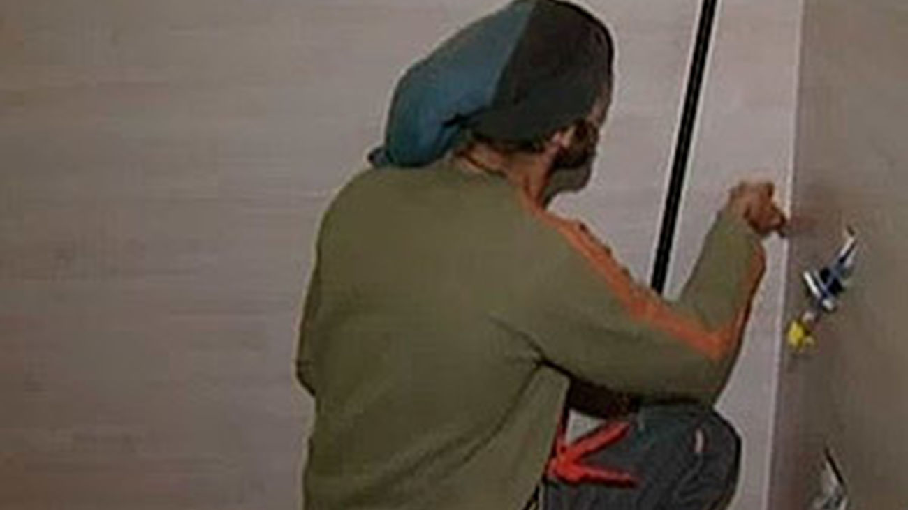 Empleo: ofertas para Alemania, Holanda, Suiza y México