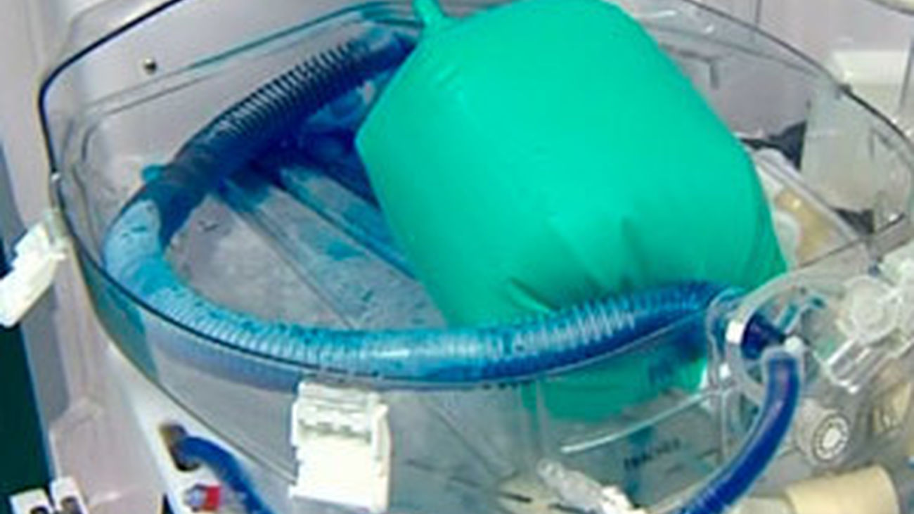 La máquina de la vida