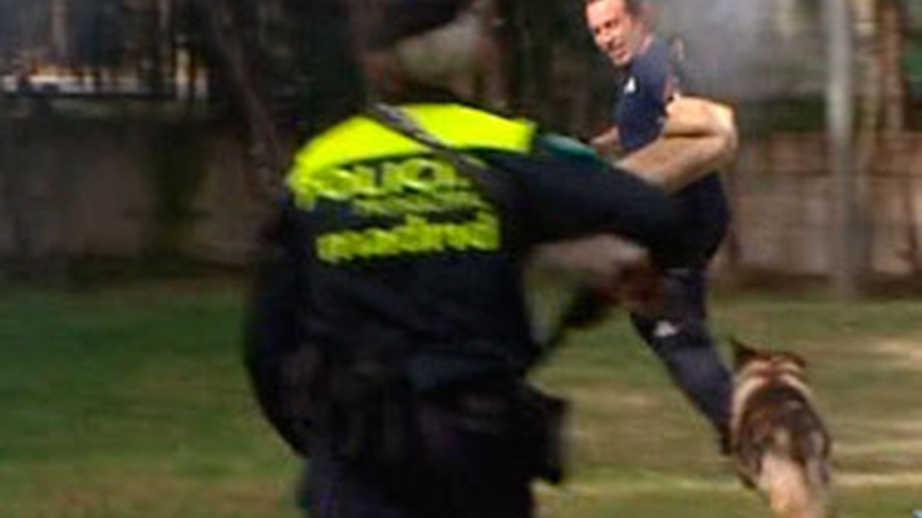 La unidad canina de la Policía