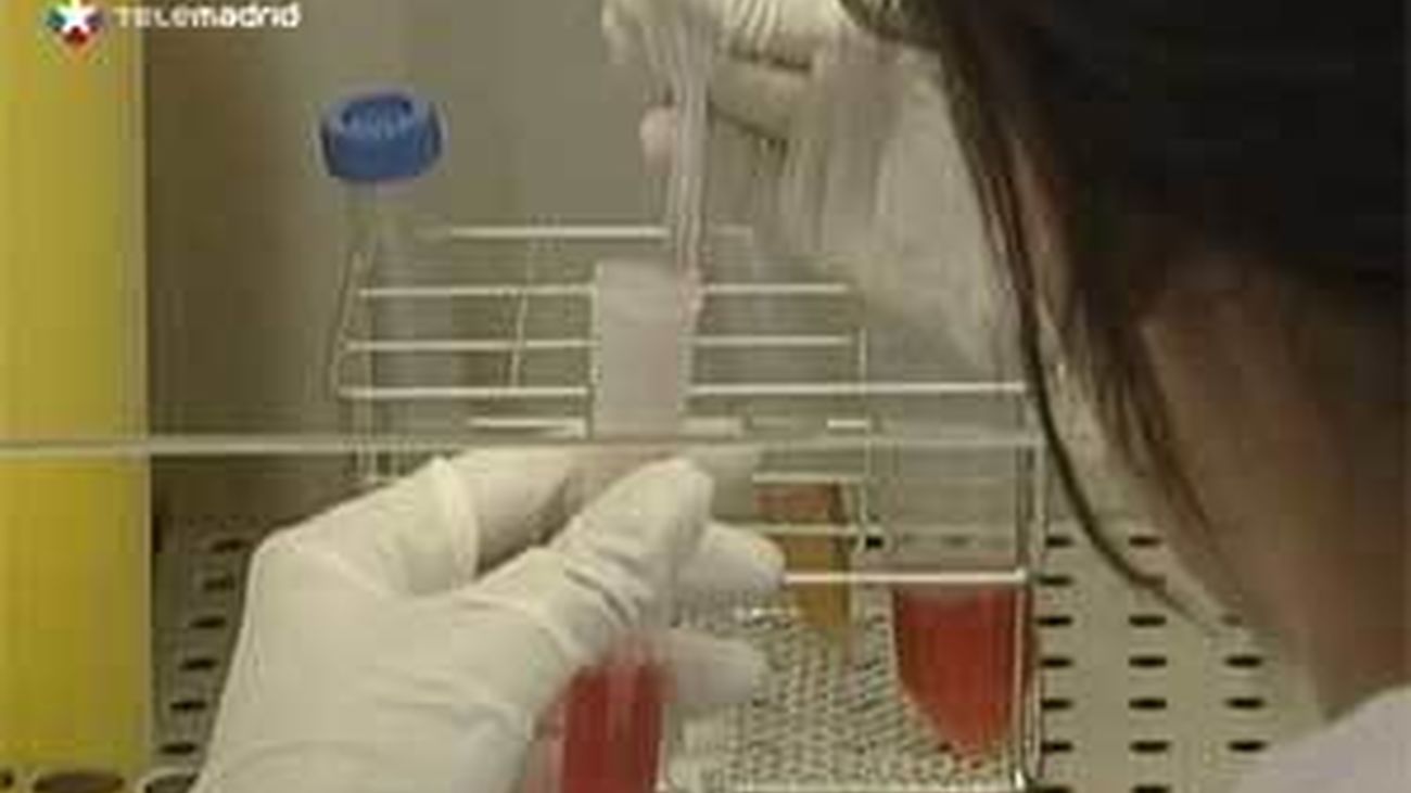 El Hospital Niño Jesús realiza 5 ensayos con células madre adultas para el cáncer infantil refractario