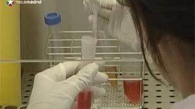 El Hospital Niño Jesús realiza 5 ensayos con células madre adultas para el cáncer infantil refractario