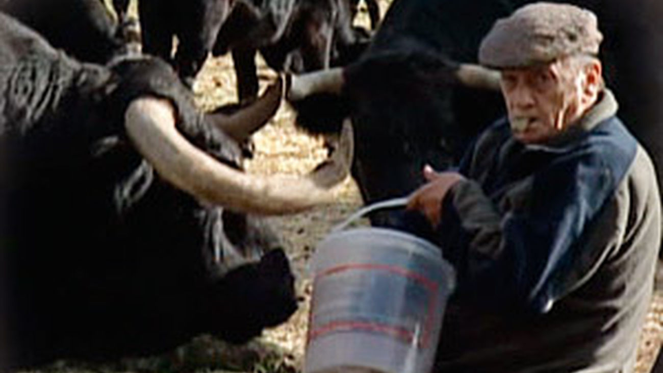 Antoñete, un año sin el maestro