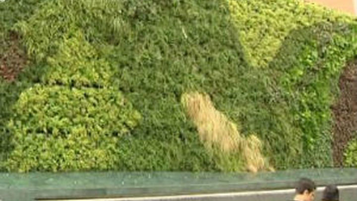 Un "pulmón verde" vertical de 100 metros cuadrados en el centro de Getafe