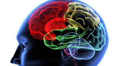 Un equipo de neurólogos españoles avanza en el diagnóstico de la migraña