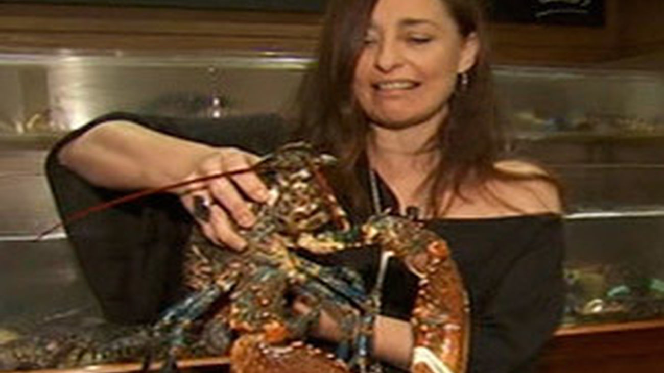 Marisco barato ¡Aprovecha!