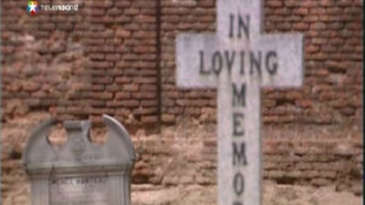 Espacios verdes y de colores luminosos, así son los cementerios del siglo XXI