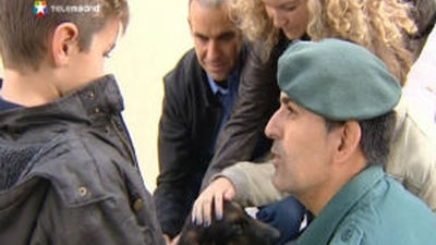 La Guardia Civil ofrece adoptar sus perros de élite en su primer año de vida