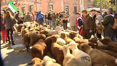 Más de 2.100 animales participan en la fiesta de la Trashumancia en Madrid