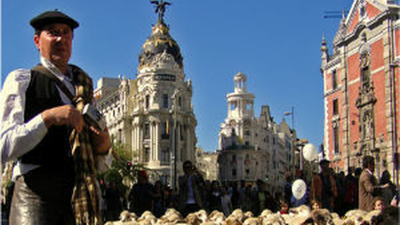Trashumancia en Madrid