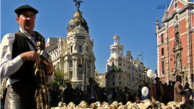 Más de 2.000 cabezas de ganado participarán fiesta de Trashumancia por Madrid