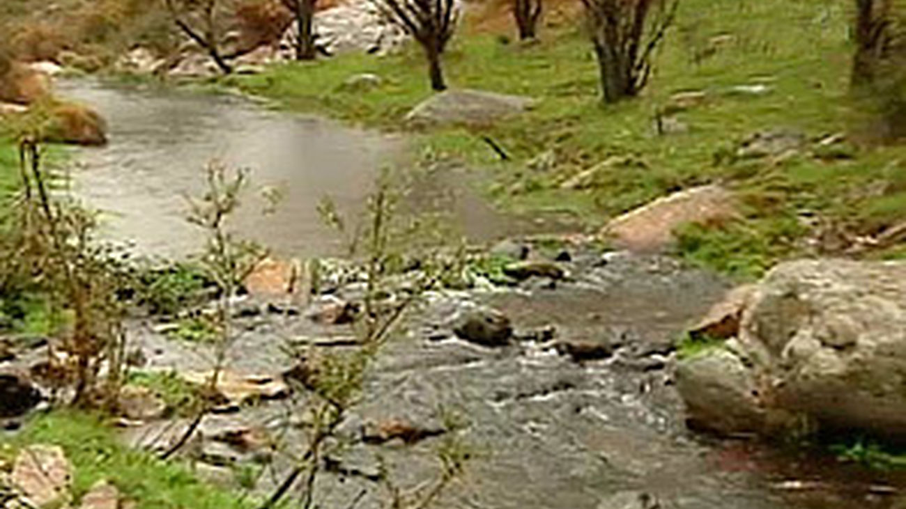 Repoblación de truchas en Santa María de la Alameda
