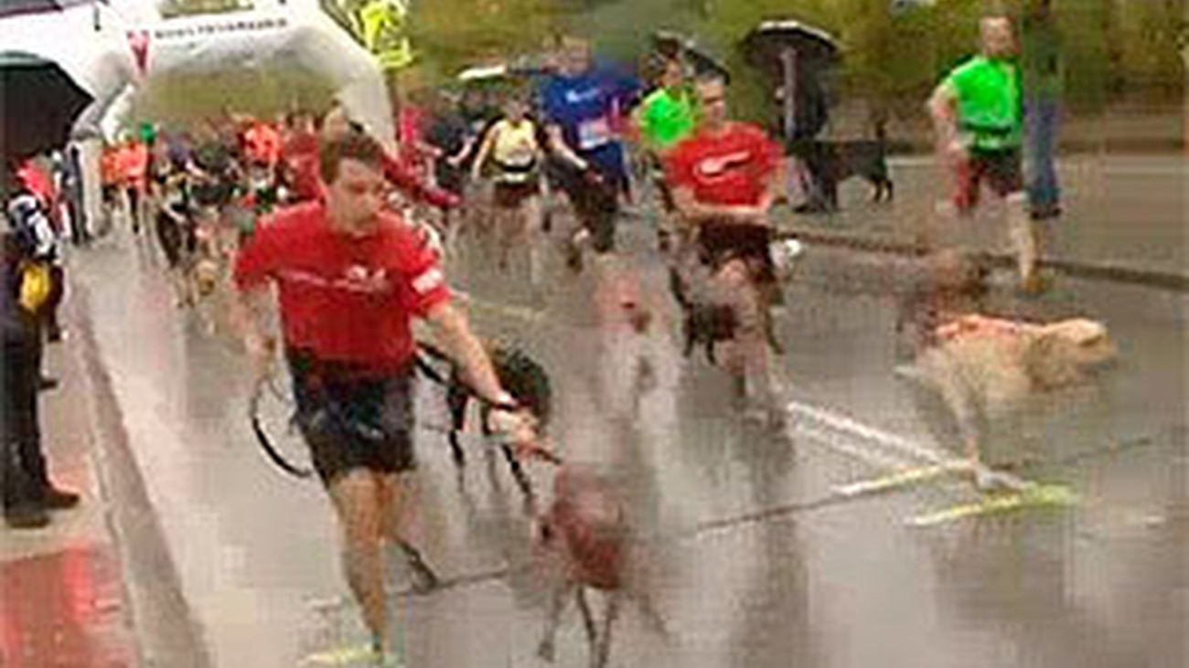 II Canicross de Rivas